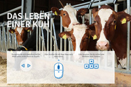 Storytelling - Vorschaubild Milchgeschichte "Das Leben einer Kuh"