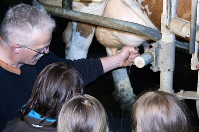 Vorschaubild: Weg der Milch - Bauernhof