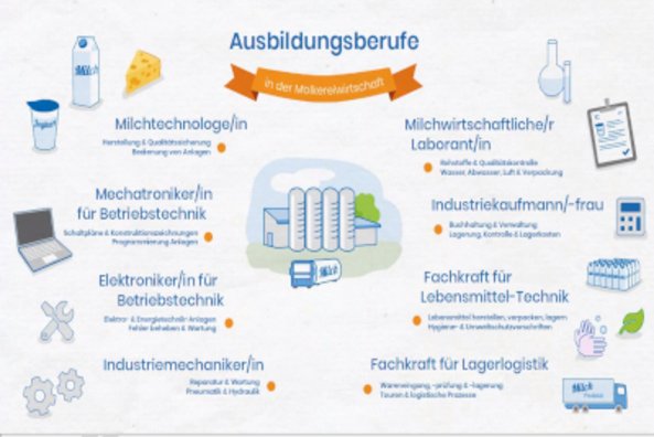 Berufsbilder in der Molkerei