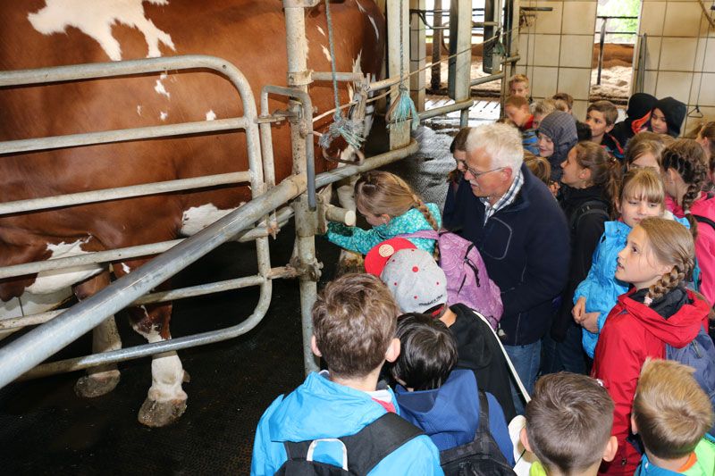 Bauer erklärt Kindern den Melkstand