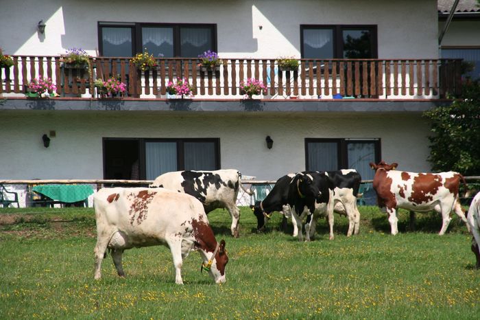 Hof Hermeling Hof Hermeling